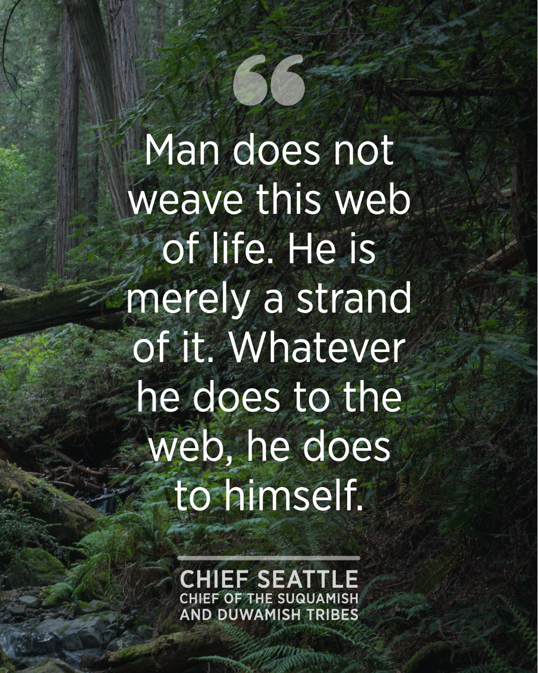 Inspiring Nature Quotes from Indigenous Leaders Golden Gate National